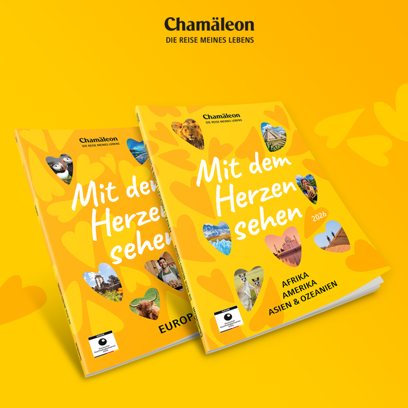 Chamäleon Reisen